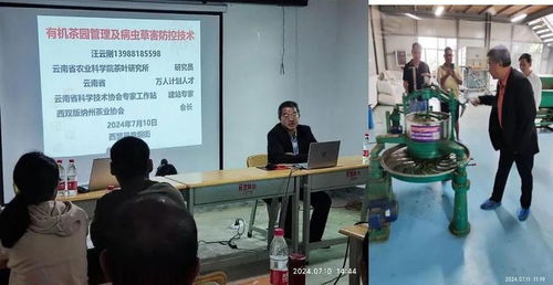 西盟縣農科服務團佤鄉傳授茶科技，信息技術咨詢服務助力鄉村全面振興